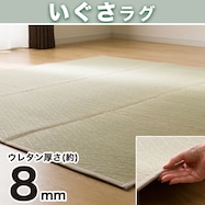 防カビ・防ダニ加工付き い草ラグ(sh NA)