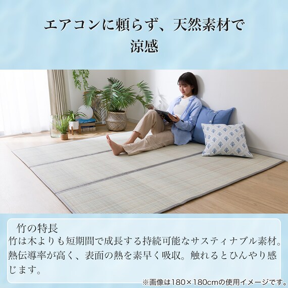 竹ラグ(da 120X180 BL) 6枚目画像