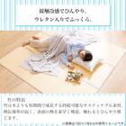 竹ラグ(pr 180X240 NA) 7枚目画像