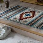 フロアマット(ピオスBL 60x90) 2枚目画像