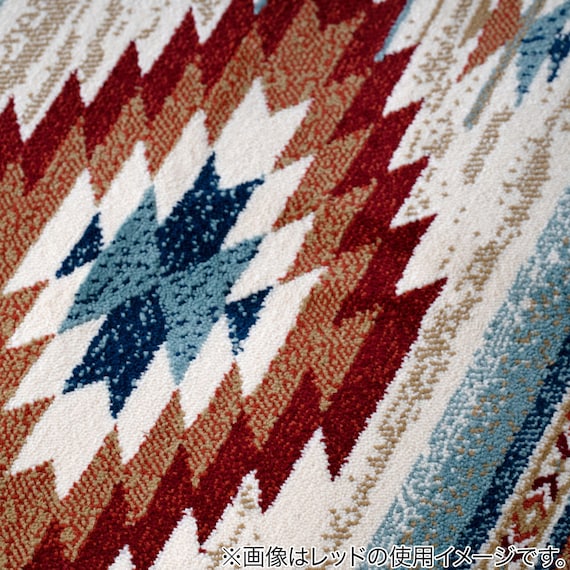 フロアマット(ピオスBL 60x90) 5枚目画像