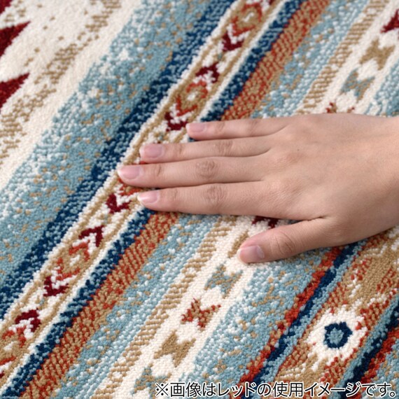 フロアマット(ピオスBL 60x90) 7枚目画像