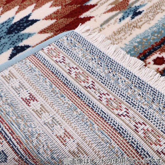 フロアマット(ピオスBL 60x90) 9枚目画像