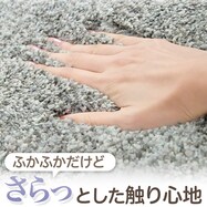 抗菌防臭 シャギーラグ(PB)