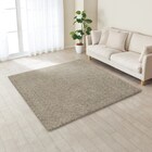 抗菌防臭 やわらかシャギーラグ(MO 185X185) 8枚目画像