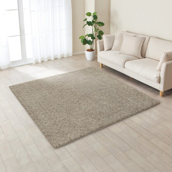 抗菌防臭 やわらかシャギーラグ(MO 185X185) 8枚目画像