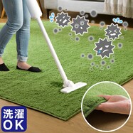 ほこりが取れやすい洗えるラグ(Nクリーンウォッシュ)【期間限定価格:8/6~9/24まで】