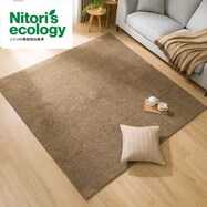 ほこりが取れやすい洗えるラグ(Nクリーンウォッシュ BE  200X240)