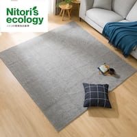 ほこりが取れやすい洗えるラグ(Nクリーンウォッシュ GY 185X185)