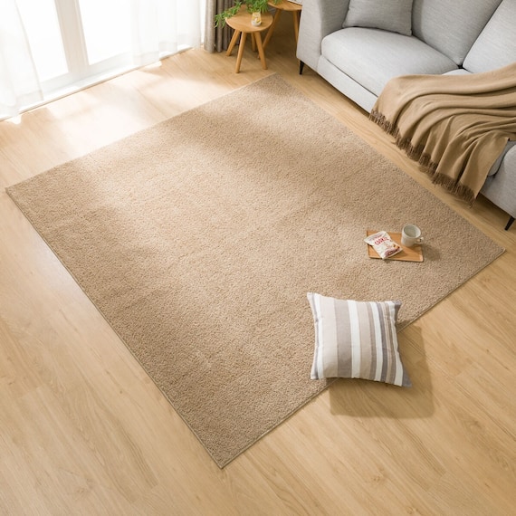 ほこりが取れやすい洗えるラグ(Nクリーンウォッシュ LBE 185X185) 4枚目画像