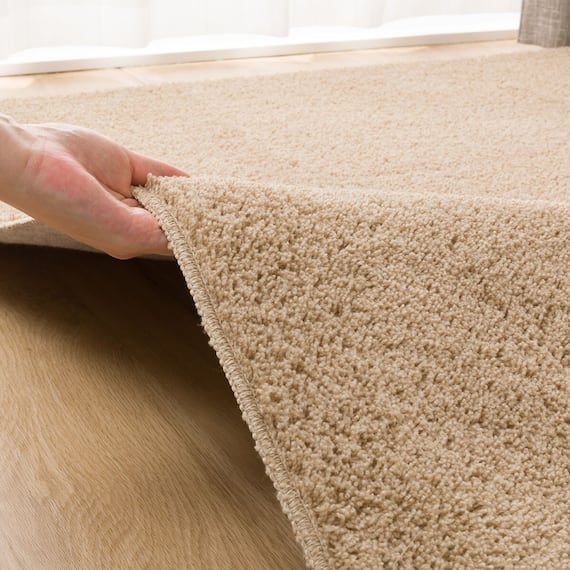 ほこりが取れやすい洗えるラグ(Nクリーンウォッシュ LBE 185X185) 7枚目画像