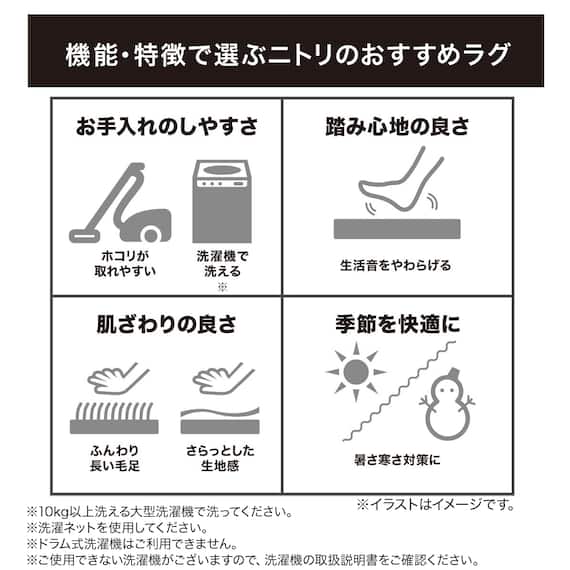 ほこりが取れやすい洗えるラグ(Nクリーンウォッシュ LBE 185X185) 15枚目画像