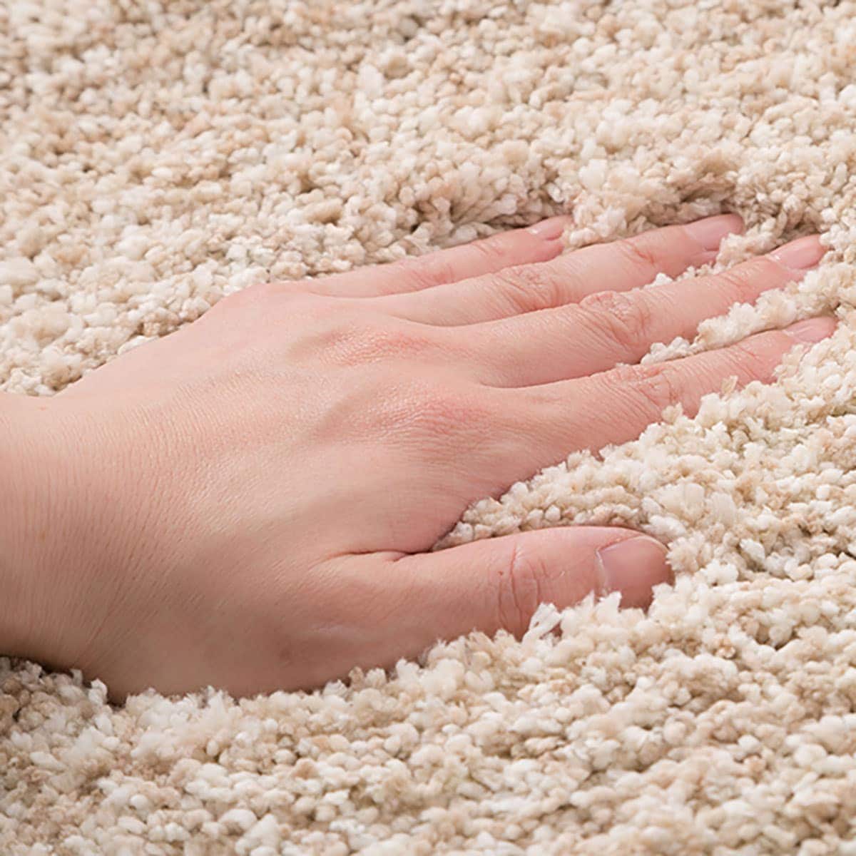 抗菌防臭 やわらかシャギーラグ Pbシャギー Be 130x185 通販 ニトリネット 公式 家具 インテリア通販 抗菌防臭 やわらかシャギーラグ Pbシャギー Be 130x185 通販 ニトリネット 公式 家具 インテリア通販