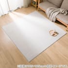 ウレタン入り ラグ(ミックス185X185 RA05) 2枚目画像