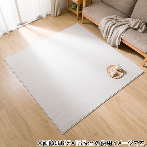 ウレタン入り ラグ(ミックス 200X240 RA05) 2枚目画像