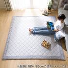 ウレタン入り洗える接触冷感ラグ(NクールSP キカn GY 130X185 TC11) 2枚目画像