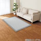 ウレタン入り洗える接触冷感ラグ(NクールSP キカn GY 130X185 TC11) 10枚目画像