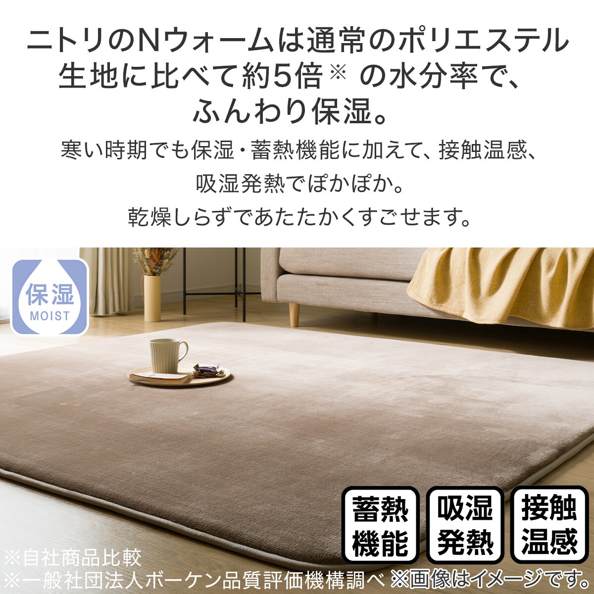 ふっくらウレタン入り 保湿＋吸湿発熱＋蓄熱ラグ(Nウォーム-SP BE n