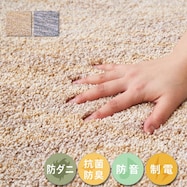 タフトラグ ビビ