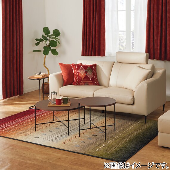 ウィルトン織りラグ(ミラベル 160X235) 5枚目画像