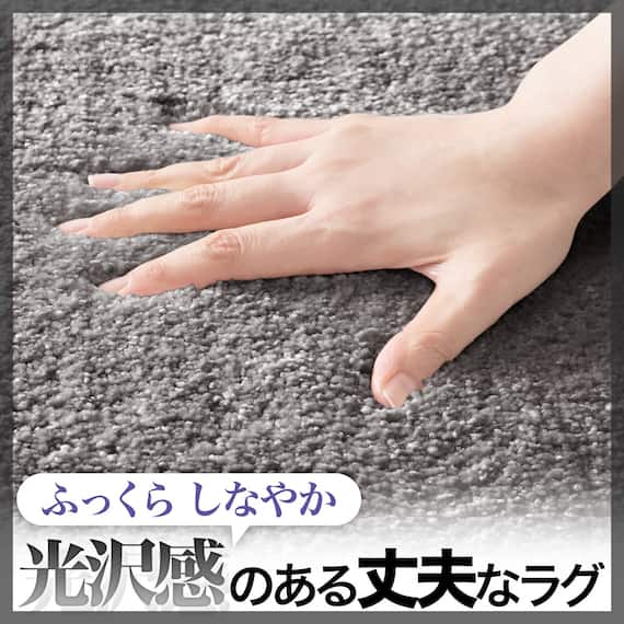 アクセントラグ( NウィンザGY 160X235) 2枚目画像