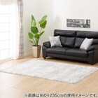 アクセントラグ(Nナノシャグ 133X190)(Living in Comfort) 1枚目画像