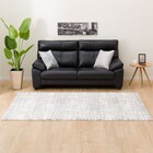 アクセントラグ(Nナノシャグ 160X235)(Living in Comfort) 2枚目画像
