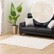 アクセントラグ(Nラカーザ)