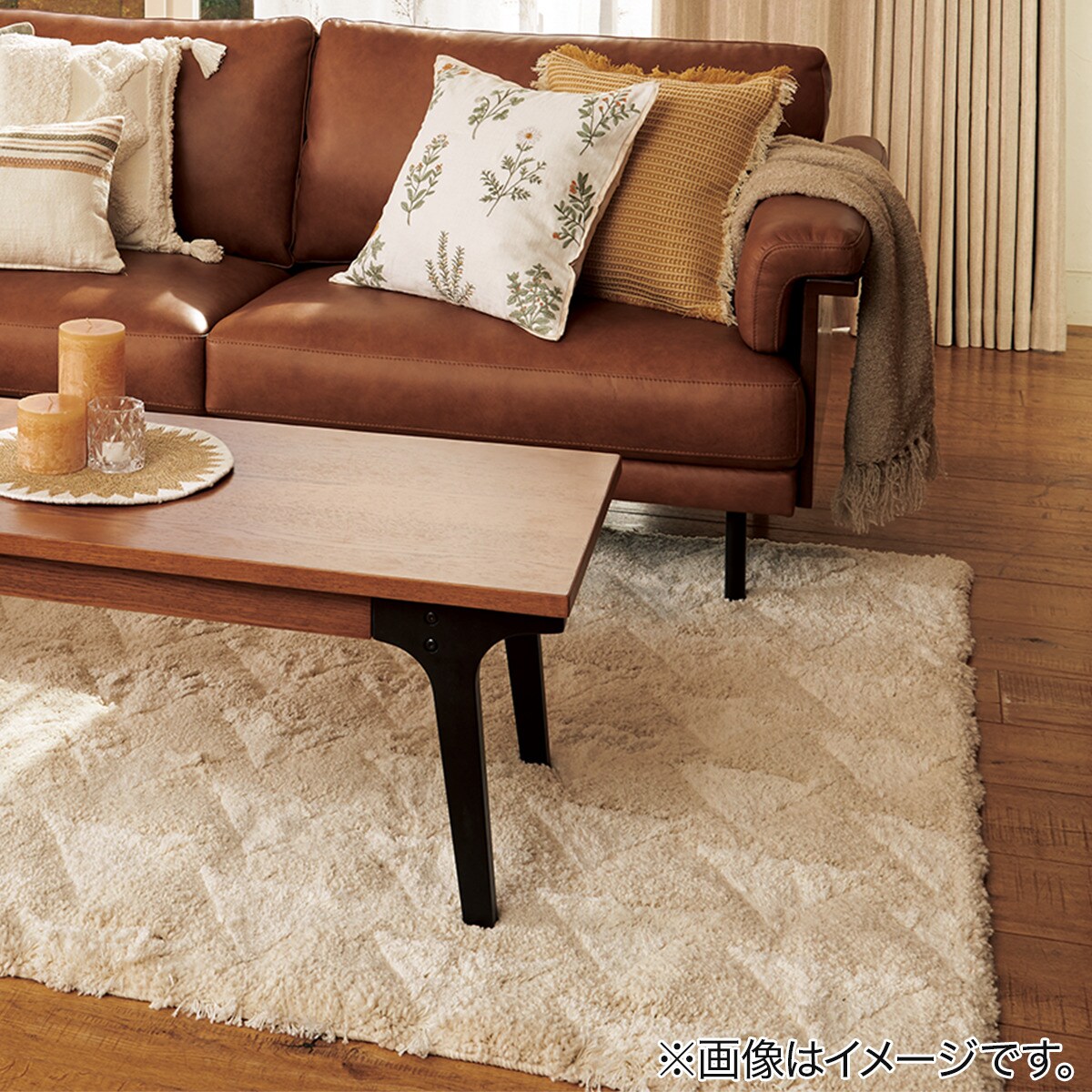 アクセントラグ(Nラカーザ 160X235)(Living in Comfort)通販
