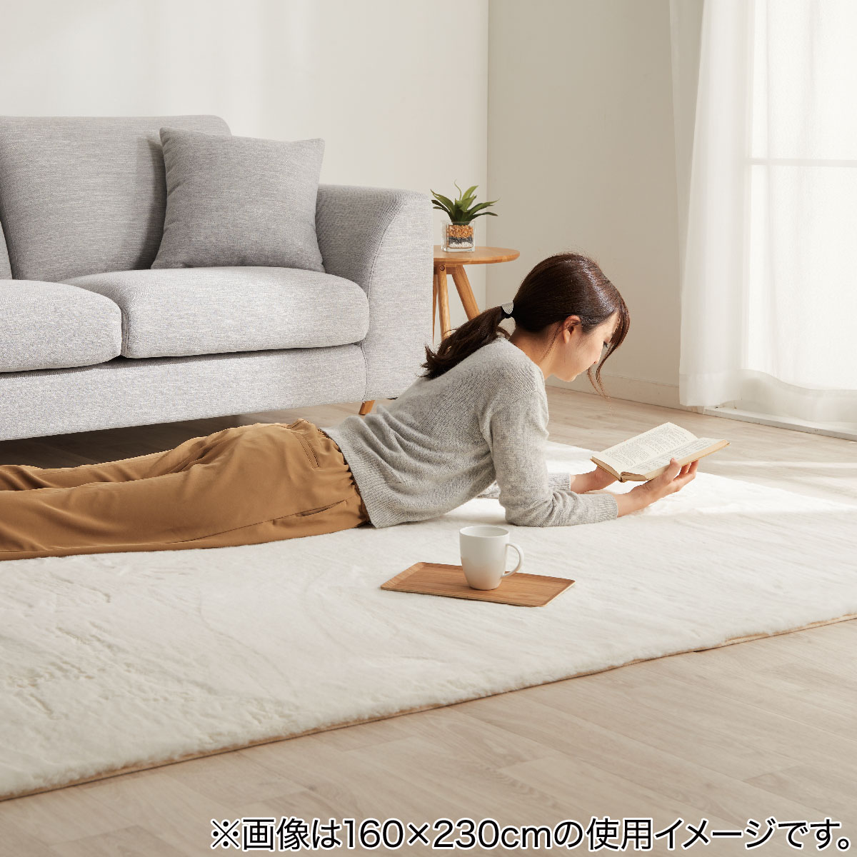 アクセントラグ(ウサギラグ3 200X200 IV US03) | ニトリネット【公式