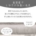 アクセントラグ(ウサギラグ3 160X230 RO US04) 18枚目画像