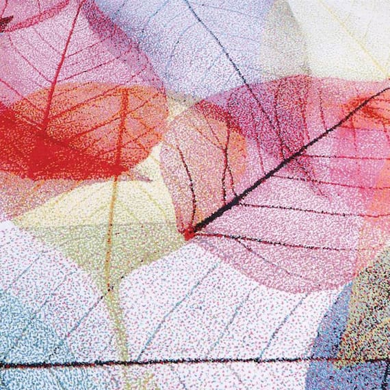 ウィルトンラグ (ハミン 80X140) 2枚目画像