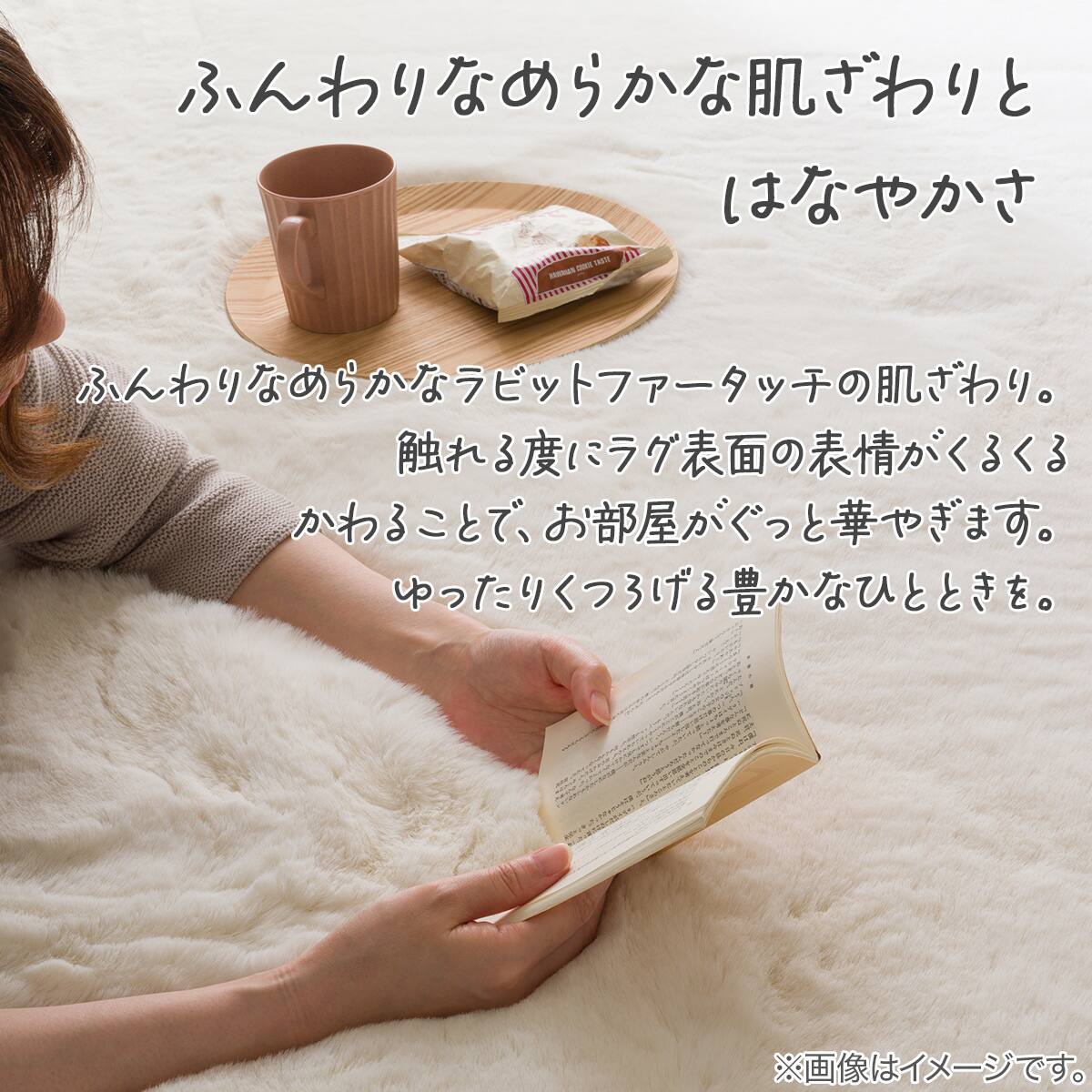 アクセントラグ(ウサギラグSP 200X200 IV ZG03) | ニトリネット【公式