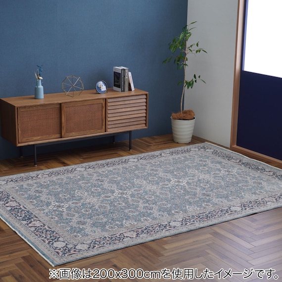 ウィルトンラグ(アルスラーンNV 240x330) 2枚目画像