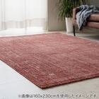 ウィルトンラグ(マイアRE 200x250) 3枚目画像