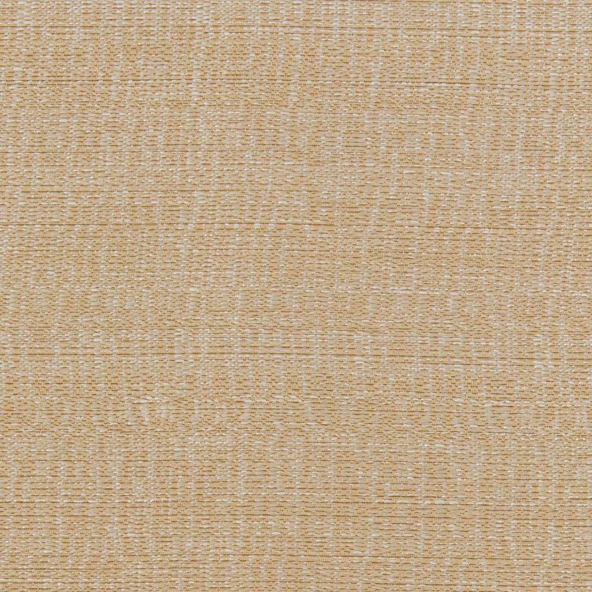 オーダーカーテン ECO005 ベージュ 2倍ヒダ(幅101-200/丈201-260cm 
