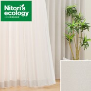 オーダーカーテン ECO003 アイボリー 2倍ヒダ