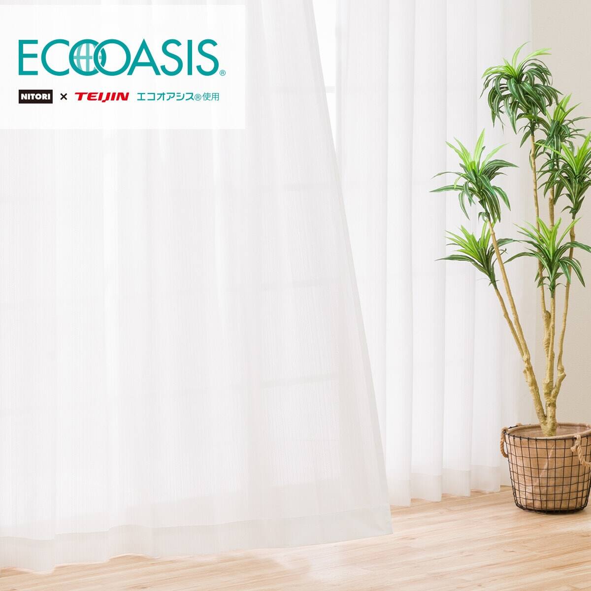 省エネ 節電 遮熱 ミラー 抗カビレースカーテン エコオアシスアンモル 通販 ニトリネット 公式 家具 インテリア通販 省エネ 節電 遮熱 ミラー 抗カビレースカーテン エコオアシスアンモル 通販 ニトリネット 公式 家具 インテリア通販