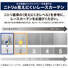 レースカーテン(ベンテ 100X176X2) 7枚目画像