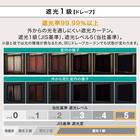 遮光1級・遮熱・遮音カーテン&遮熱・遮像レース4枚セット(RP002LYGR 100X178cmセット) 5枚目画像