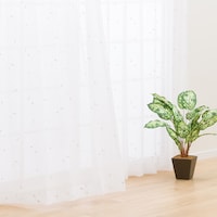 レースカーテン 可愛い ニトリネット 公式 家具 インテリア通販 レースカーテン 可愛い ニトリネット 公式 家具 インテリア通販