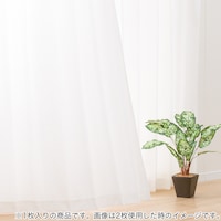 玄関 カーテン 目隠し ニトリネット 公式 家具 インテリア通販 玄関 カーテン 目隠し ニトリネット 公式 家具 インテリア通販