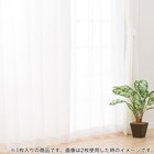 1枚入り 綿混カーテン(レダ アイボリー 100X110X1) 2枚目画像