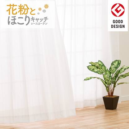 遮熱 ミラー 抗カビ 花粉キャッチレースカーテン キャッチcアンモル 100x1x2 通販 ニトリネット 公式 家具 インテリア通販