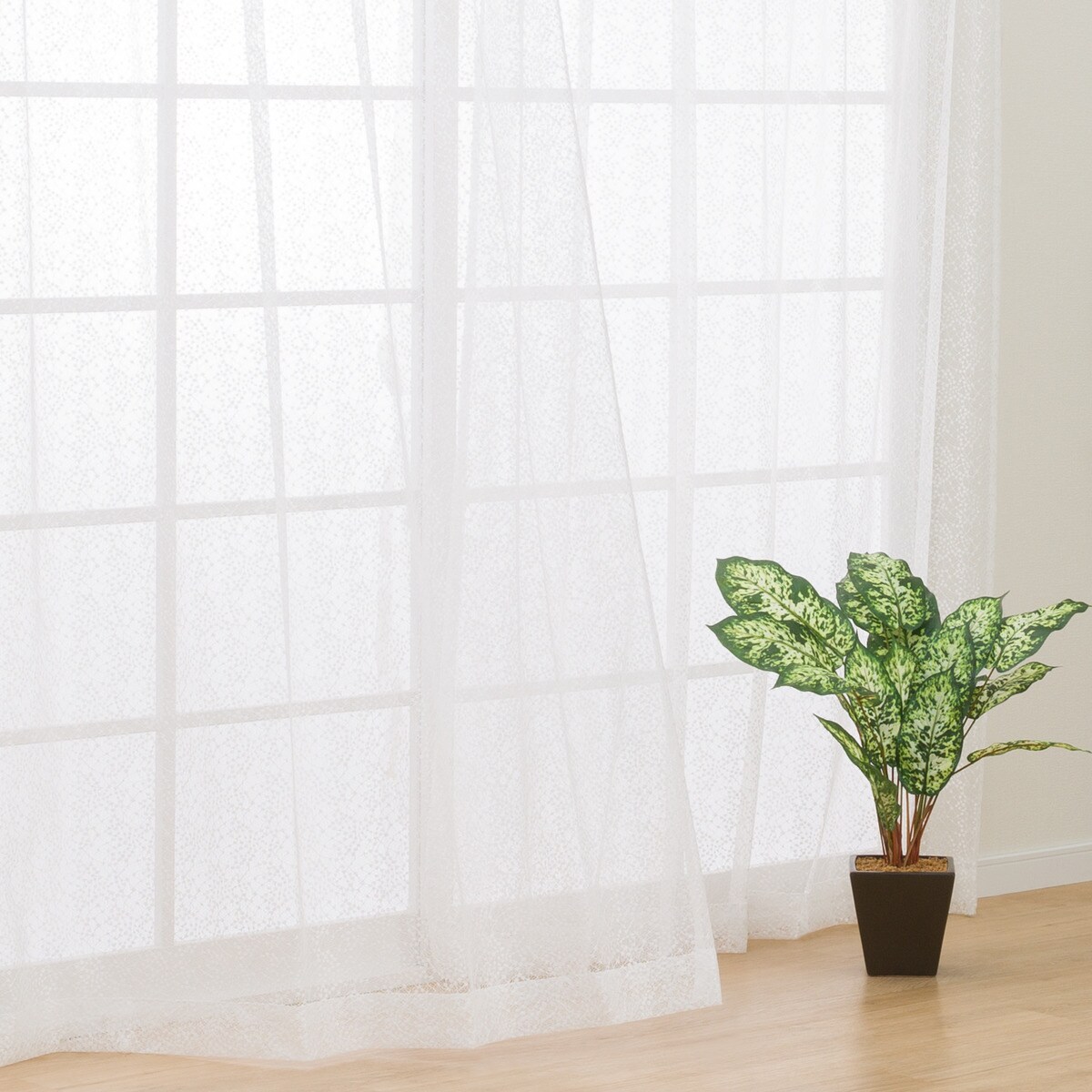 レースカーテン ジプソ(OP04 100X176X2) | ニトリネット【公式】 家具