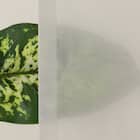 遮光1級・遮熱・遮音カーテン&遮熱・遮像レース4枚セット(RP002 GY 100X190cmセット) 20枚目画像