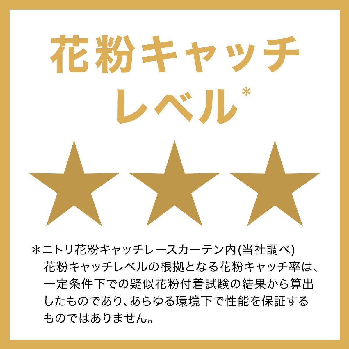 花粉キャッチ・遮熱・ミラーオーダーレース キャッチCエレイル 2倍ヒダ