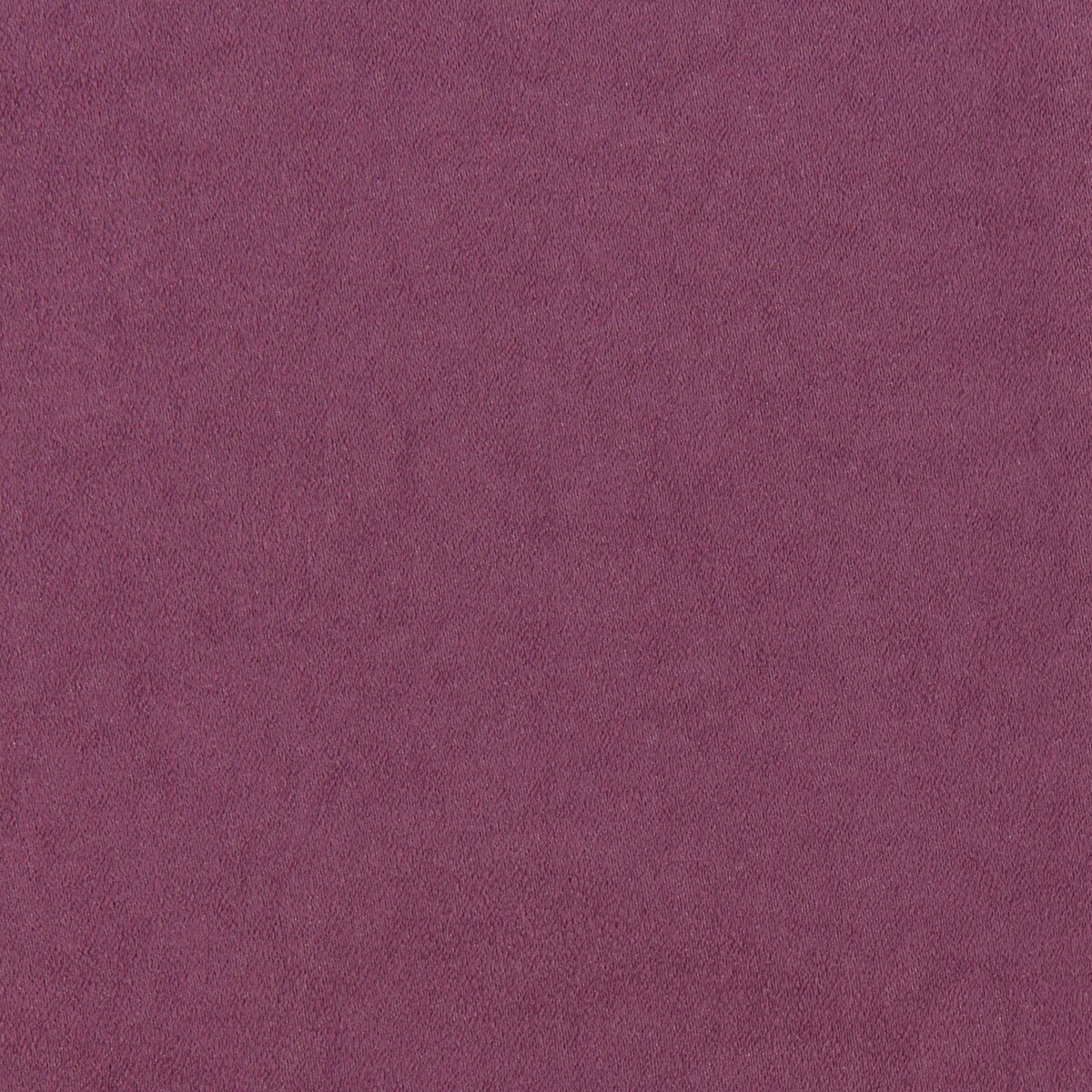 ニトリ オーダーカーテン パープル 2倍ヒダ+ レースカーテンセット オーダーカーテン サーラ パープル 2倍ヒダ(幅201-300/丈201