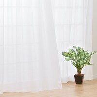 お好みサイズレースカーテン RL-002(幅201-300/丈171-220cm)