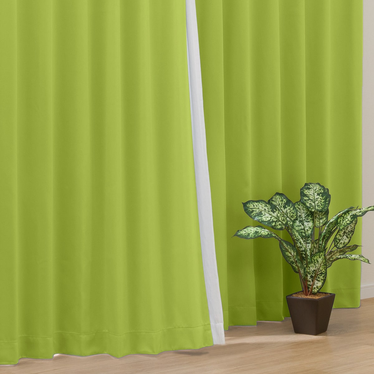 新鮮な緑色の桃 約30個入 試飲茶会】新登場した『白桃烏龍茶 翠玉』を飲んでみました！繊細で